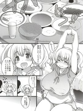 (C87) [Okina Keikaku (Shiwasu no Okina)] Pochaco Kawaii Kawaii (Super Sonico)_04